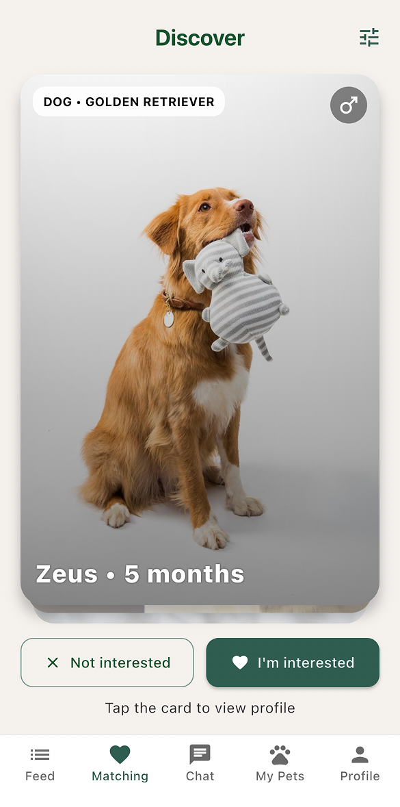 View lineage callouts, safety notes, and breeder preferences before you swipe and start a conversation.